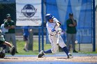 Baseball vs Babson  Wheaton College Baseball vs Babson during Semi final game of the NEWMAC Championship hosted by Wheaton. - (Photo by Keith Nordstrom) : Wheaton, baseball, NEWMAC